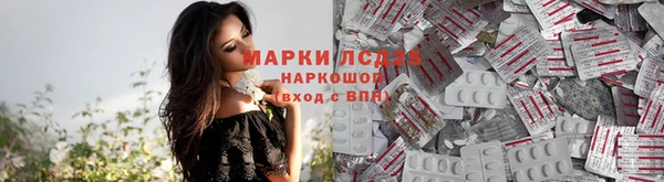 мяу мяу мука Белокуриха