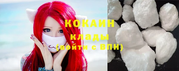 мяу мяу мука Белокуриха