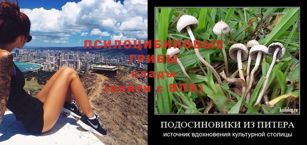 mdpv Беломорск