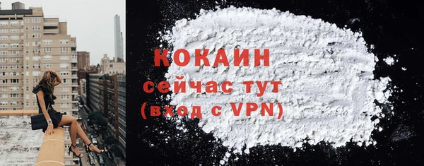 мяу мяу мука Белокуриха