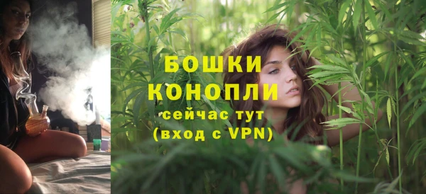 мяу мяу мука Белокуриха